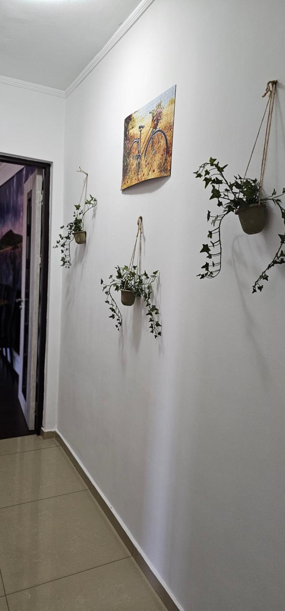 Dorian Apart コンスタンツァ エクステリア 写真